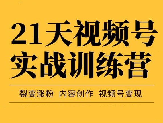 21天视频号实战训练营，裂变涨粉、内容创作、视频号变现（价值298元）-550资源网|九公子网络科技