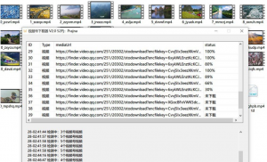 【免费福利】微信视频号视频下载神器：批量自动下载视频号视频-550资源网|九公子网络科技