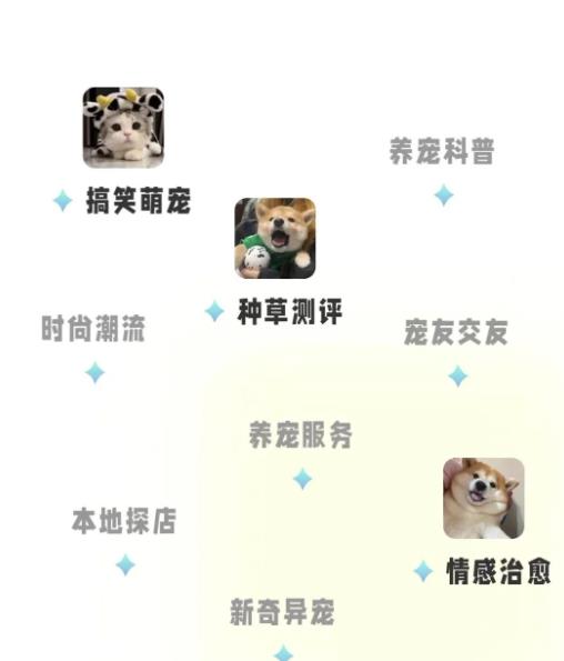 图片[4]-宠胖胖撸金项目，新平台放水，无脑搬砖，日入100+-550资源网|九公子网络科技