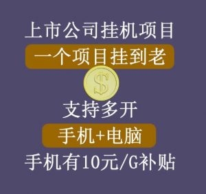 睿思挂机项目,一个项目挂到老,支持手机+电脑+虚拟机多开-550资源网|九公子网络科技