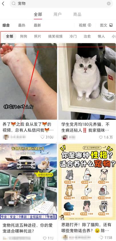 图片[5]-宠胖胖撸金项目，新平台放水，无脑搬砖，日入100+-550资源网|九公子网络科技