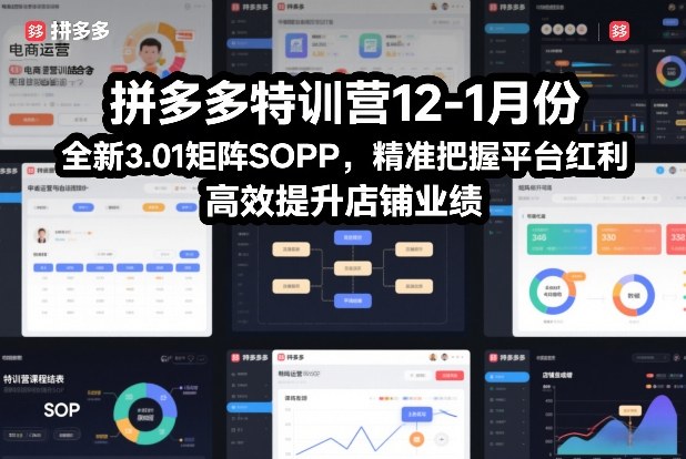 拼多多特训营12-1月份，全新3.01矩阵Sop，精准把握平台红利，高效提升店铺业绩-550资源网|九公子网络科技