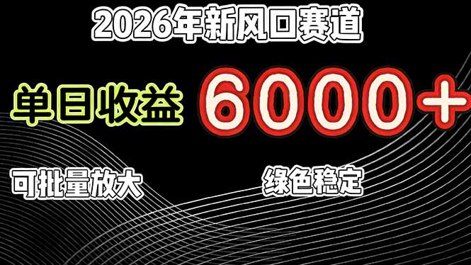 2026年新风口赛道，当日6000+以上，可批量放大，月收入20万+，长期绿色稳定的项目-550资源网|九公子网络科技