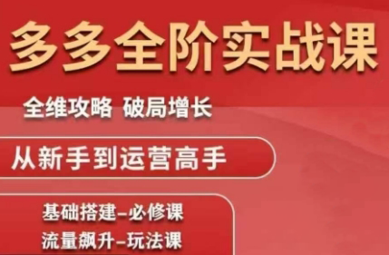 大炮·拼多多全阶实战课程(更新2026)-550资源网|九公子网络科技