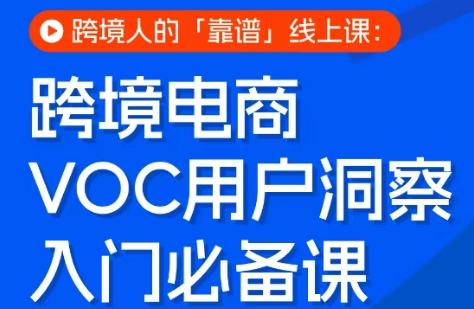 跨境电商VOC用户洞察入门必备课-550资源网|九公子网络科技