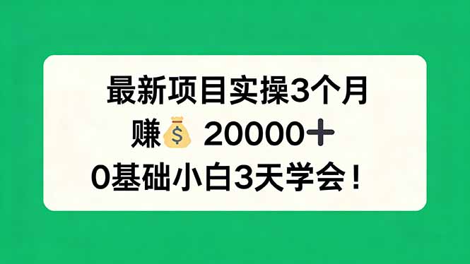 最新项目实操3个月，赚钱20000+，0基础小白3天学会！-550资源网|九公子网络科技